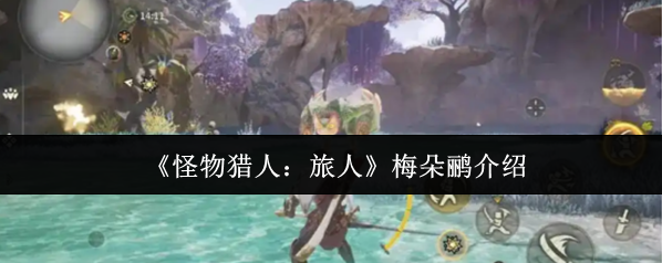 怪物猎人:旅人梅朵