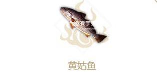 妄想山海黄姑鱼属性介绍