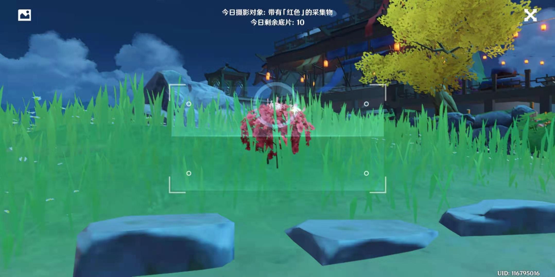 米哈游原神留影