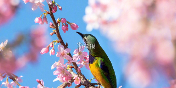 2026年假期放假时间表