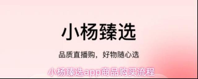 小杨臻选app商品购买流程