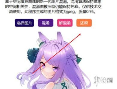 小番茄图片混淆图片