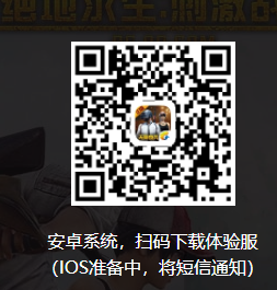 绝地求生：刺激战场游戏