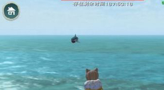 创造与魔法鲨鱼