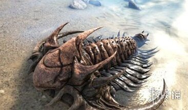 方舟:生存进化三叶虫