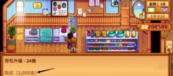 星露谷物语攻略