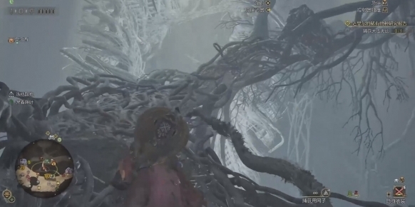 怪物猎人荒野跳下去