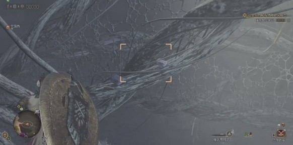 怪物猎人荒野龙都