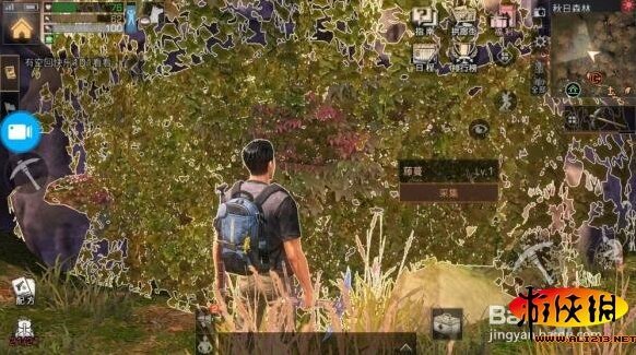 明日之后秋日森林