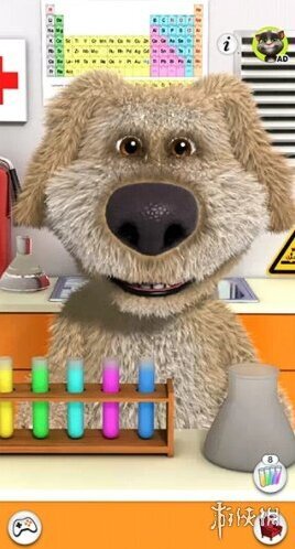 会说话的狗狗本狗本