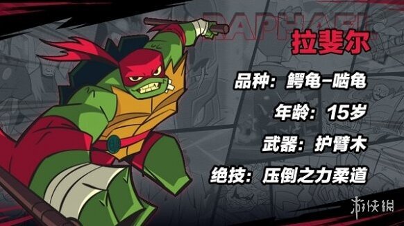 忍者龟归来角色